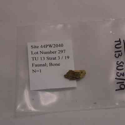 Faunal; Bone