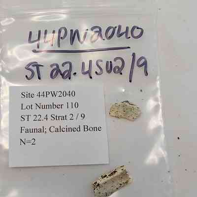 Faunal; Calcined Bone