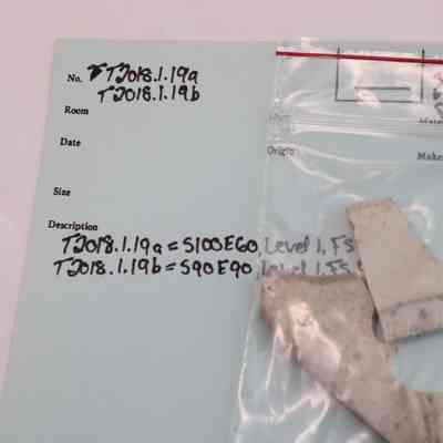 stone ware plate fragment