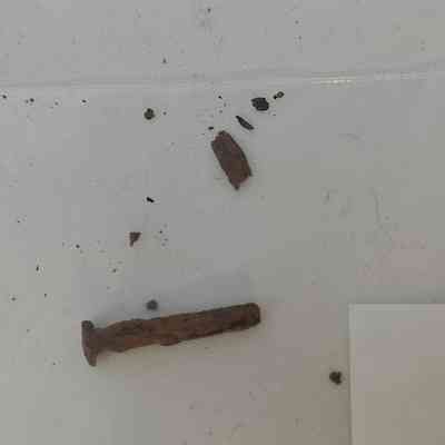 Cut Common Nail; Complete