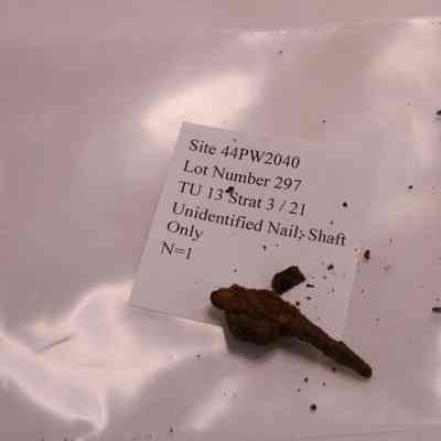 unidentified nail