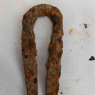 Double nail or pin