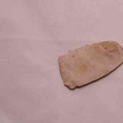 ceramic fragment