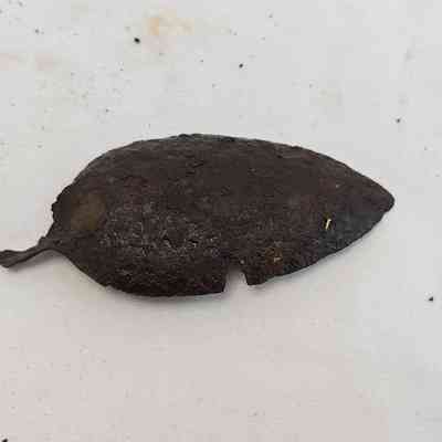 leaf shape artifact