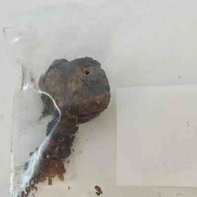 miscellaneous, metal, Iron Cap