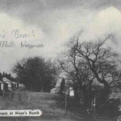 Photo: Muse's Beach, Woodbridge