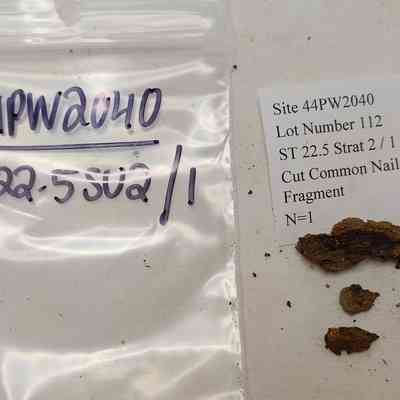 Cut Common Nail; Fragment