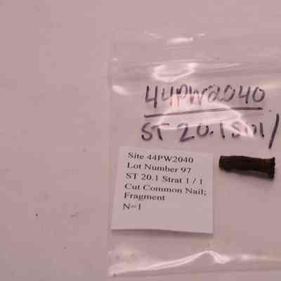 Cut Common Nail fragment