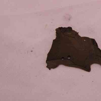 fragment