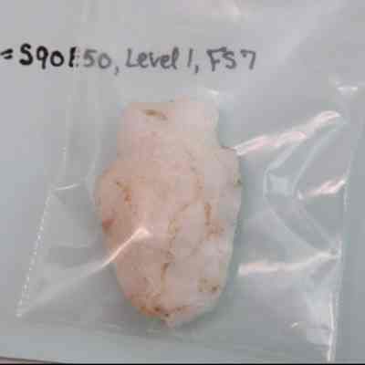 Projectile point