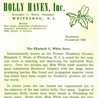 Holly Haven Inc. folder thumbnail.