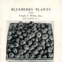 1918 Sales Catalog Cover