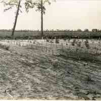 5/12/1915 "Row 27, Haines no. 9"