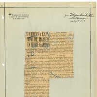 Newspaper Clipping