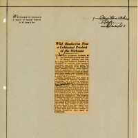 Newspaper Clipping
