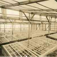 7/27/1915 "Blueberry Propagation Frames Copy"