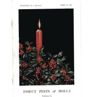          Insect Pests of Holly picture number 1
   