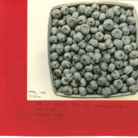 Photo of Brooks-Sooy-Pioneer Berries