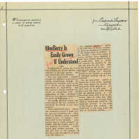 Newspaper Clipping