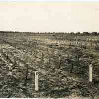 7/9/1914 "Taken July 9, 1914"