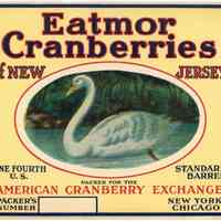 Swan Eatmor Cranberries