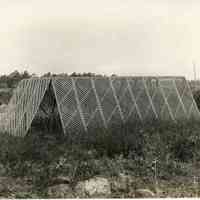 7/19/1916 "Shelter open fidded planks."