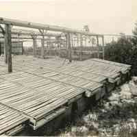 7/3-6/1919 "Blueberry growing bins"