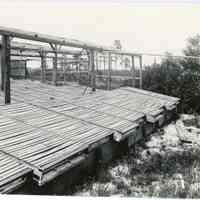 7/3-6/1919 "Blueberry growing bins" copy