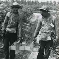 Two men carrying baskets of blueberries