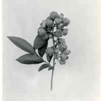          1919 
