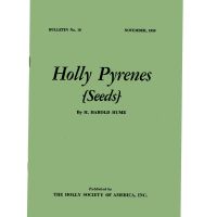 Holly Pyrenes (Seeds)