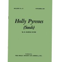          Holly Pyrenes (Seeds) picture number 1
   