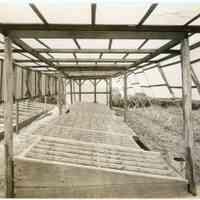          7/10/1914 picture number 1
   