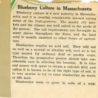 Blueberry Culture- Massachusetts