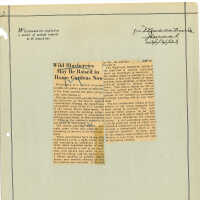 Newspaper Clipping
