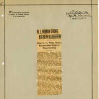 Newspaper Clipping