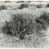 7/2/1918 "J101 1/2"