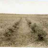          7/10/1914 picture number 1
   