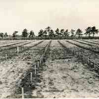 7/20/1917 "Approximate location of plowed ground pictured of July 10,1914."