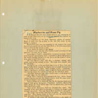 Newspaper Clippings