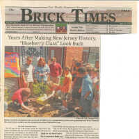 The Brick Times