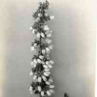 5/13/1915 "Sooy x Brooks"