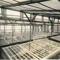 7/27/1915 "Blueberry Propagation Frames"