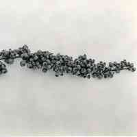 8/3/1917 "Cluster of Sooy x Chatsworth berries"