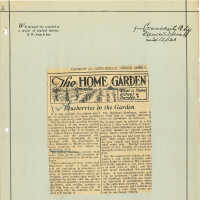 Newspaper Clipping