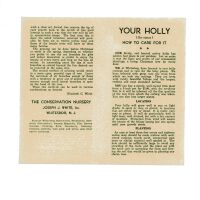 Your Holly, How to Care for It