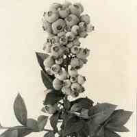          7/16/1924 picture number 1
   