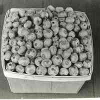 7/19/1916 "620 A Premium"