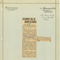 Newspaper Clipping