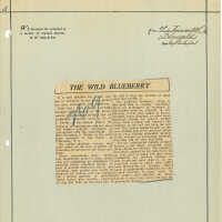 Newspaper Clipping
